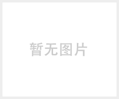 外柱式单体液压支柱